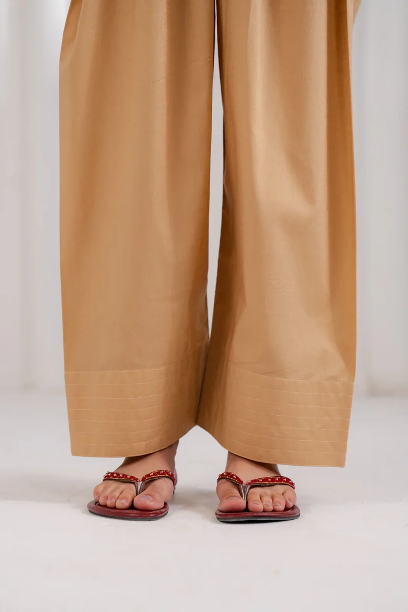 ✅ Elegant Farshi Shalwar For Women – EFS - Image 4